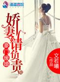 豪门暖婚之娇妻请负责 文若曦