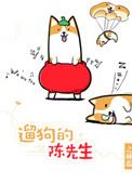 遛狗的陈先生完整版