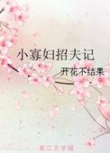 小寡妇招夫记开花不结果
