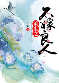 重生之不嫁英雄