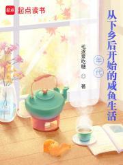 下乡年代文