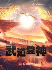 武道登神无防盗手打