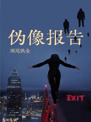 伪像报告txt盘