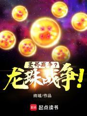 龙珠传说圣战中文版