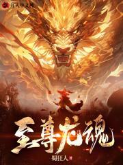 至尊龙魂罗成免费阅读