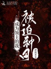 我当领主的那些年