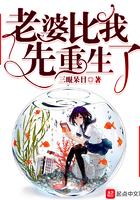 我老婆比我先重生起点