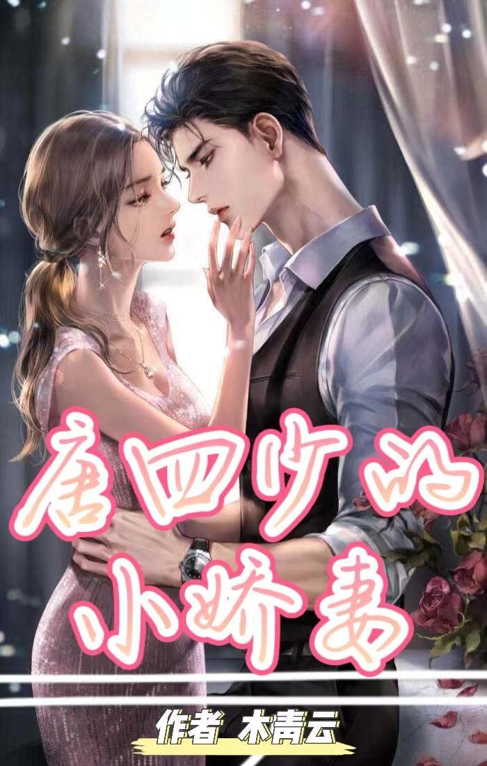闪婚老公太霸道南南
