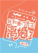 我和豪门先生离婚了书包网
