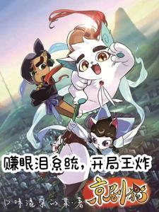 嗯京剧猫