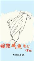 244. 第 244 章 拯救咸鱼老公