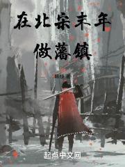 在北宋末年做藩镇笔下文学
