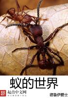 蚁的世界免费阅读