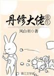 丹修大佬重生风白羽