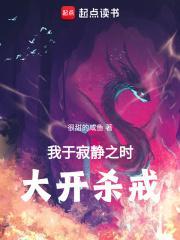 我于寂静之时大开杀戒无错版