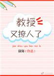 教授又撩人了无弹窗