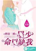墨少燃情重生捍妻请签收
