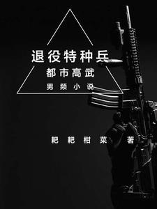 退役特种兵与财阀夫人