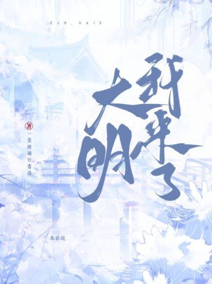 大明星我来了