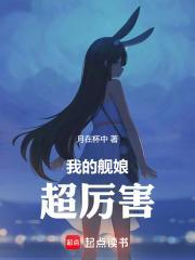 我的舰娘超厉害月在怀中