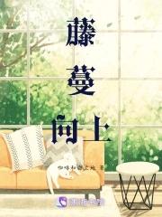藤蔓植物向上生长的描述