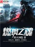 燃钢之魂怎么样