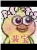 裴宝by池总