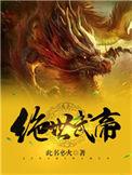 绝世武帝 此书必火