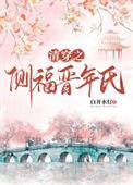 清穿之侧福晋