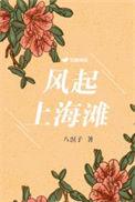 风起上海滩10