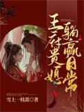 王府小媳妇 无重复篇