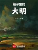 箱子里的大明 三十二变
