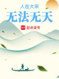 人在大宋无法无天正版