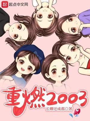 重燃2003精校版TXT百度