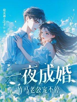 一夜蜜婚老公宠入怀