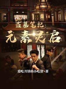 盗墓笔记起启