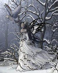 程强郑敏赵雪兰的