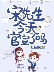 宋先生是谁