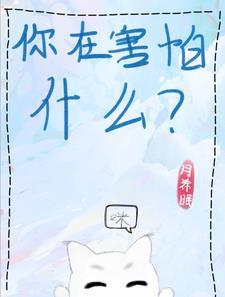 小猫答案