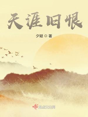 恨天涯望断了了天涯什么歌