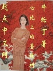 心的菩提感悟