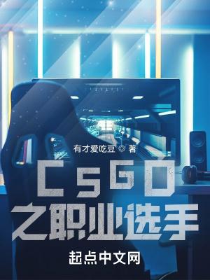 csgo职业选手参数