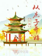 红楼之庶子夺嫡