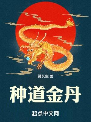 道家金丹是什么样的