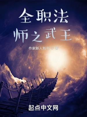 全职法师之王者之路