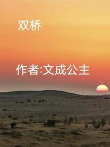 双桥区举行退役士兵返乡欢迎大会