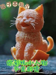 综影视含小妇人