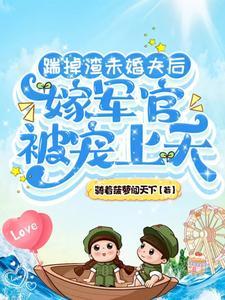 穿越六零当军嫂完本