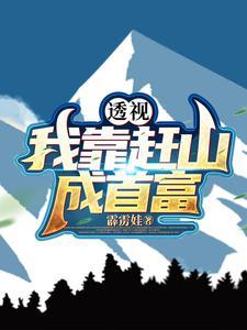 十万大山鸟瞰图