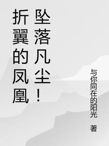 折纸视频教程